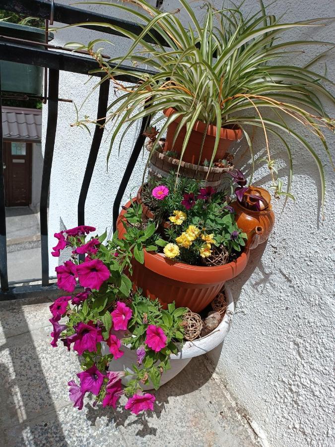 Apartman Ohren Sarajevo Exterior photo